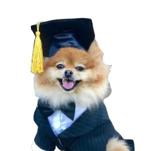 Puppy Doctor Hat Tassel Dog Hat for Graduation student Tassel Degree Pet Small Hat pet accessories