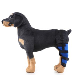 dog hind leg protector aid dog leg protector