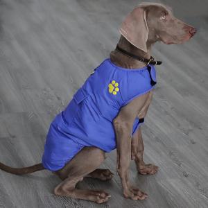 luxury jackets for dogs winter